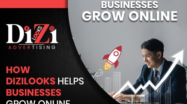 How Dizilooks Helps Businesses Grow Online